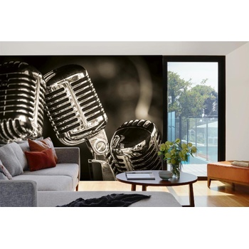 DIMEX ART s. r. o Самозалепваща се флизелинова фототапета ретро микрофони 375 x 250 см