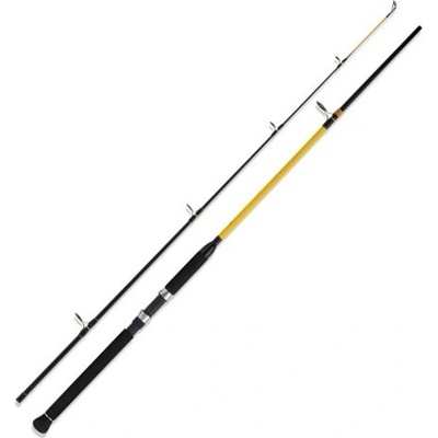 WFT NEVER CRACK CATFISH BOAT 2,4 m 250 - 1000 g 2 diely