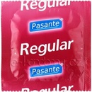 Pasante regular 1 ks