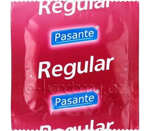Pasante regular 1 ks