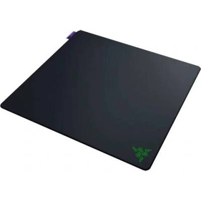 Razer Gaming Mousepads RAZER Gigantus V2 Pro L - Max Control - Gaming Mousepad (RZ02-05490100-R3M1)