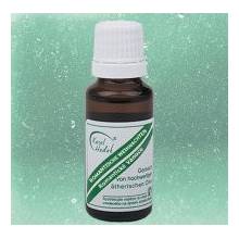 Hadek Romantické Vánoce 10 ml