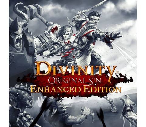 Divinity Original Sin