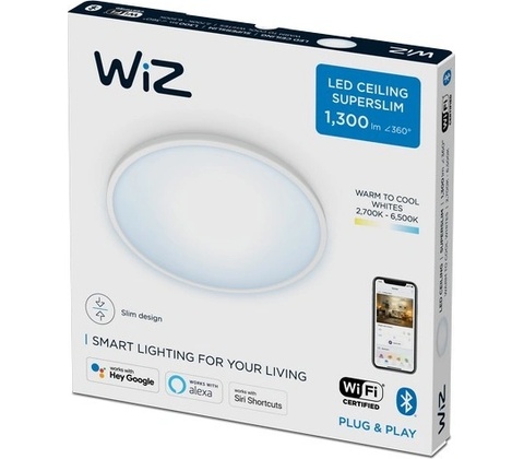 WiZ WI0040