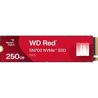 Western Digital WD Red SN700 1TB (WDS100T1R0C-68BDK0)