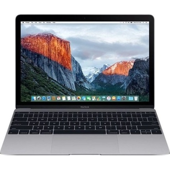 Apple MacBook MNYG2CZ/A