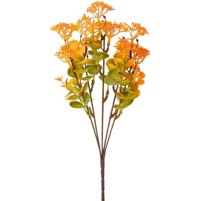 ZELEŇ SEDUM ORANŽOVÉ 32CM