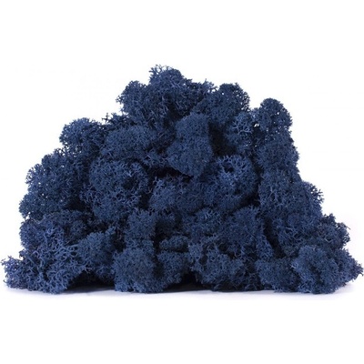 Stabilizovaný LIŠEJNÍK (sobí mech) Canopy | MODRÝ | 100 g