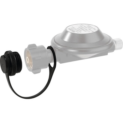 GOK Винтова пробка за регулатор на налягането за вход w21 (75407)