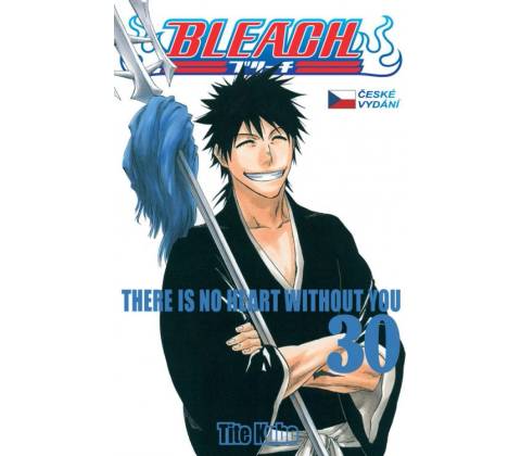 Bleach 30 - Tite Kubo