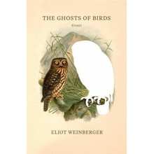 Ghosts of Birds