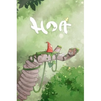 Hoa