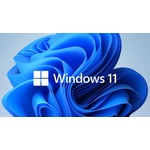 Microsoft Windows 11 Pro 64Bit BGR (FQC-10521)