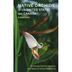 Native Orchids of the United States and Canada - A Field Guide | Hal Horwitz, Dennis F. Whigham, Jay O`neill, Julianne Mcguinness (ISBN: 9781501784330)