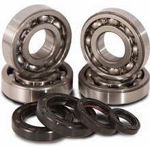 Main bearing & Seal kits C & L COMPANIES K055