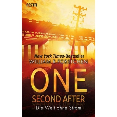 One Second After - Die Welt ohne Strom Forstchen William R.Paperback