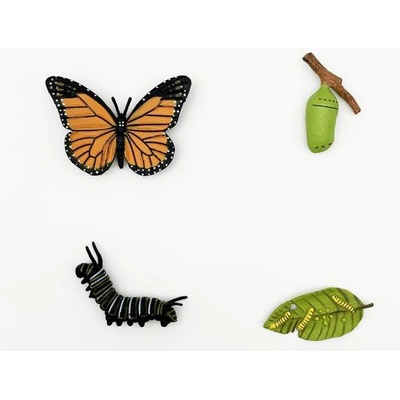 Atlas Фигурка Пеперуда Монарх мигриращ 4 етапа на развитие 8 см
