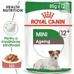 Royal Canin Mini Ageing 12x85 g
