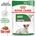 Royal Canin Mini Ageing 12x85 g