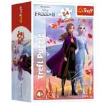 Trefl Puzzle 54 mini In the world of Anna and Elsa 2 TREFL