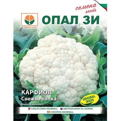 Opal Zi Карфиол Снежна топка