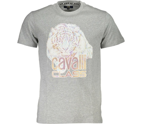 Cavalli Class šedé