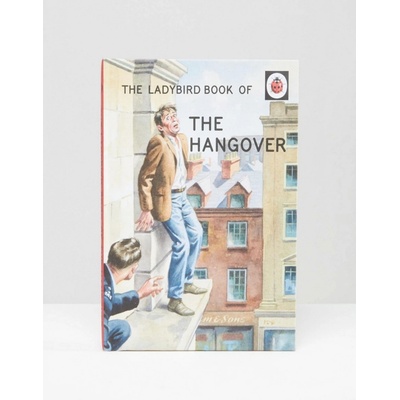 The Ladybird Book of the Hangover - Ladybird B... - Jason Hazeley, Joel Morris