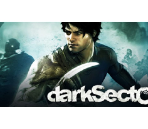 Dark Sector