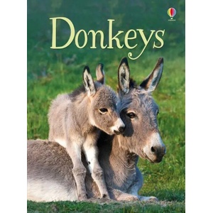 Donkeys | James Maclaine (2017)