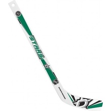 InGlasCo Mini NHL, Dallas Stars