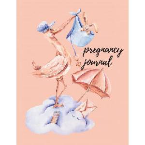 Pregnancy journal | Cristie Jameslake (ISBN: 9780037949152)