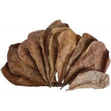 Easyfish Listy mandľovníka morského 20 g