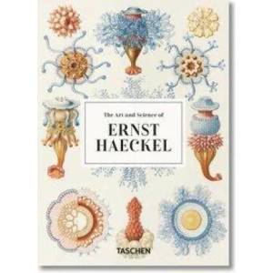 Ernst Haeckel. Kunst und Wissenschaft. 40th Ed. | Julia Voss (2020)