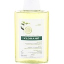 Šampóny Klorane Cedrát šampón 200 ml