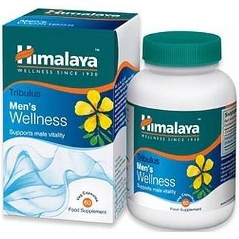 Himalaya Herbals Wellness Tribulus 60 tablet