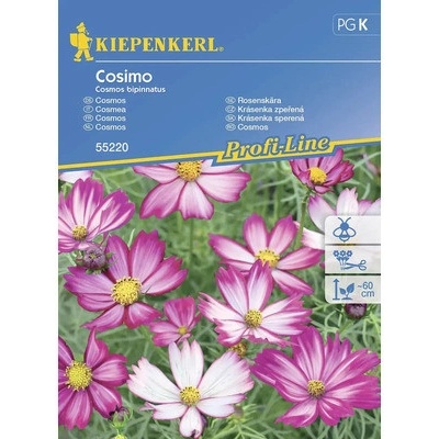 Krásenka zpeřená Cosmos Cosimo Kiepenkerl