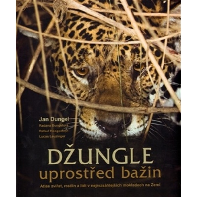Džungle uprostřed bažin