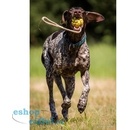 Hračky pro psy Trixie míč Plovoucí na šňůrce 7 cm/35 cm
