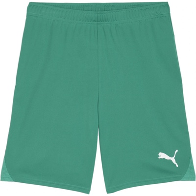 Puma teamGOAL zelená L
