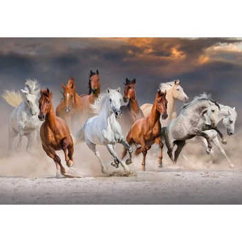 Image 1 of Bluebird Puzzle - Puzzle The Horse Race - 1 000 piese