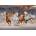 Bluebird Puzzle - Puzzle The Horse Race - 1 000 piese
