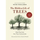 Hidden Life of Trees Wohlleben Peter