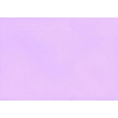 Pukka Pad PUKKA obálka DL 100g fialová sv./50/ ,balení 50 ks 382750