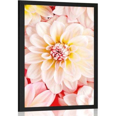 Plakát pastelové květiny dálie - 20x30 white