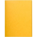 Exacompta Екзакомпта А4, жълта папка с преспапие p2210-0154 (p2210-0154)