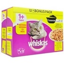 Whiskas Casserole drůbeží výběr jelly 12 x 85 g