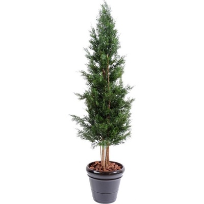 Umělý strom cypřiš tmavý s dřevěnými kmeny, 180cm