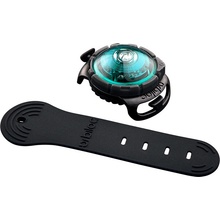 Orbiloc Dog Dual Safety Light Tyrkysová