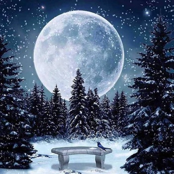 Norimpex - Puzzle Diamant painting: Full moon in winter 30x40cm - 1 - 39 piese