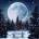 Norimpex - Puzzle Diamant painting: Full moon in winter 30x40cm - 1 - 39 piese